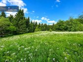 Parduodamas 80 a. Namų Valdos Sklypas - nuotraukos Nr. 4