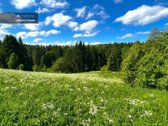 Parduodamas 80 a. Namų Valdos Sklypas - nuotraukos Nr. 5