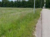Parduodamas 116 Arų Sklypas Agluonėnų Sen.,