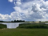 Parduodamas vaizdingas sklypas Vileikiškėse, - nuotraukos Nr. 5