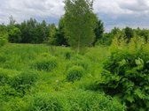 Parduodama sodyba netoli Vilniaus (tik 35 km, - nuotraukos Nr. 2