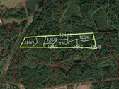 Parduodamas 4,21 ha miškas Tauragės raj.