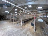 Parduodamas 5 ha sklypas su statiniais - 3596 m² - nuotraukos Nr. 19