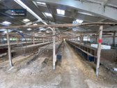 Parduodamas 5 ha sklypas su statiniais - 3596 m² - nuotraukos Nr. 20