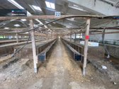 Parduodamas 5 ha sklypas su statiniais - 3596 m² - nuotraukos Nr. 21
