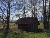 Išskirtinė Sodyba Molėtų Rajone-ramybė,gamta - nuotraukos Nr. 14