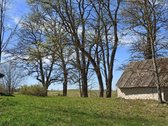 Išskirtinė Sodyba Molėtų Rajone-ramybė,gamta - nuotraukos Nr. 25