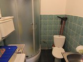 Parduodama išpuoselėta sodyba, 1,66 ha žemės - nuotraukos Nr. 20
