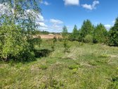Parduodamas geroje vietoje esantis sklypas - nuotraukos Nr. 4