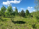 Parduodamas geroje vietoje esantis sklypas - nuotraukos Nr. 5