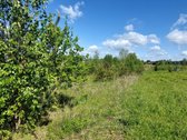 Parduodamas geroje vietoje esantis sklypas - nuotraukos Nr. 9