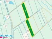 Gera Kaina! Investiciniai Žemės Sklypai - nuotraukos Nr. 12