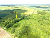 Vienkiemis su 26 ha žemės sklypu – tiems, kas - nuotraukos Nr. 10