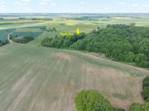 Vienkiemis su 26 ha žemės sklypu – tiems, kas - nuotraukos Nr. 11