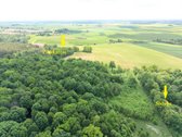 Vienkiemis su 26 ha žemės sklypu – tiems, kas - nuotraukos Nr. 13