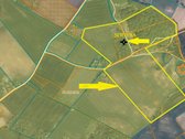 Vienkiemis su 26 ha žemės sklypu – tiems, kas - nuotraukos Nr. 4