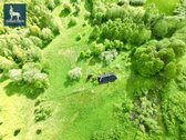 Autentiška kaimo sodyba Molėtų r. – jūsų - nuotraukos Nr. 6