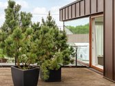Išskirtinė Galimybė Įsikurti Modernios - nuotraukos Nr. 16