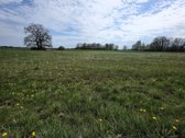 Parduodamas 1 Ha Sklypas Rokuose, Kauno - nuotraukos Nr. 3