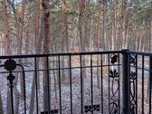 Gyventi ir poilsiauti Druskininkuose, reiškia - nuotraukos Nr. 5