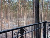 Gyventi ir poilsiauti Druskininkuose, reiškia - nuotraukos Nr. 6