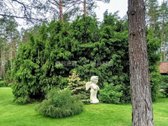Vieta puikiai tinkama jūsų asmeniniam - nuotraukos Nr. 31