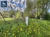 Autentiška kaimo sodyba Molėtų r. – Jūsų - nuotraukos Nr. 12