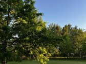Privatumo jausmą suteikiantis dvibutis namas - nuotraukos Nr. 7