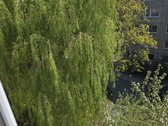 Parduodamas Šviesus 3 Kambarių Butas - nuotraukos Nr. 5