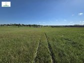 Parduodamas erdvus 2,14 ha sklypas – Jūsų - nuotraukos Nr. 6