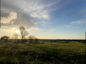 Namai ramioje gamtos apsuptyje - nuotraukos Nr. 16