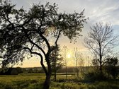 Namai ramioje gamtos apsuptyje - nuotraukos Nr. 17