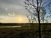 Namai ramioje gamtos apsuptyje - nuotraukos Nr. 18