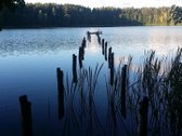 Parduodamas unikalus 31.53 a. namų valdos - nuotraukos Nr. 15