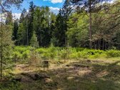 Parduodamas unikalus 31.53 a. namų valdos - nuotraukos Nr. 8