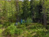 Parduodamas unikalus 31.53 a. namų valdos - nuotraukos Nr. 10