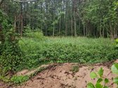 Parduodame Ant Dusios Ežero Kranto 66,9a Sklypą - nuotraukos Nr. 5