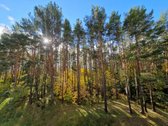 Naujas Penkių Kambarių butas Miške, Mieste, - nuotraukos Nr. 3