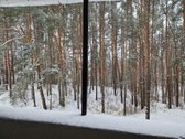Naujas Penkių Kambarių butas Miške, Mieste, - nuotraukos Nr. 9