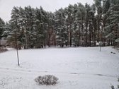 Naujas Penkių Kambarių butas Miške, Mieste, - nuotraukos Nr. 10