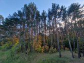 Naujas Penkių Kambarių butas Miške, Mieste, - nuotraukos Nr. 20