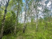 Parduodamas sklypas itin ramioje ir - nuotraukos Nr. 3