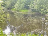 Parduodamas sklypas itin ramioje ir - nuotraukos Nr. 2