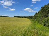 Parduodamas žemės ūkio paskirties sklypas