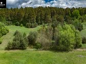 Žemės Ūkio Paskirties Sklypas Su Kaimo - nuotraukos Nr. 7
