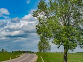 Žemės Ūkio Paskirties Sklypas Su Kaimo - nuotraukos Nr. 13