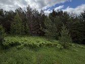 Parduodamas 82a žemės ūkio paskirties sklypas - nuotraukos Nr. 2