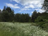 Parduodamas 82a žemės ūkio paskirties sklypas - nuotraukos Nr. 3