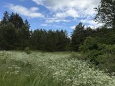 Parduodamas 82a žemės ūkio paskirties sklypas - nuotraukos Nr. 4