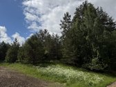 Parduodamas 82a žemės ūkio paskirties sklypas - nuotraukos Nr. 5